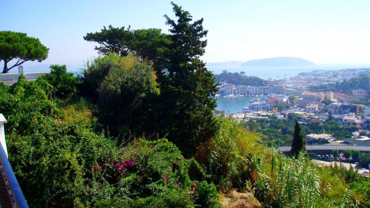 Photo of Others in Ischia Porto