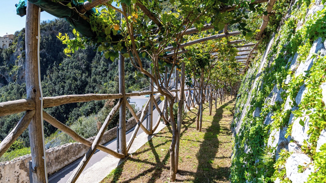 Photo of Outdoor in Pogerola