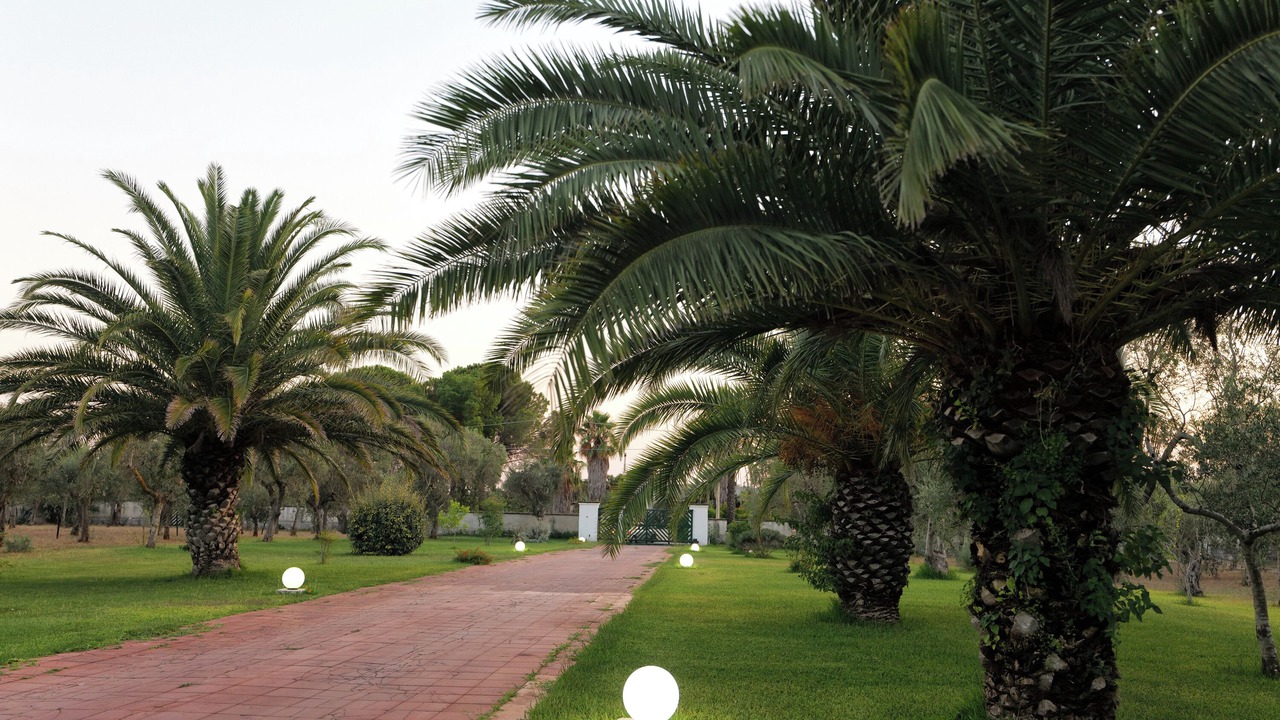 Photo of Outdoor in Cursi