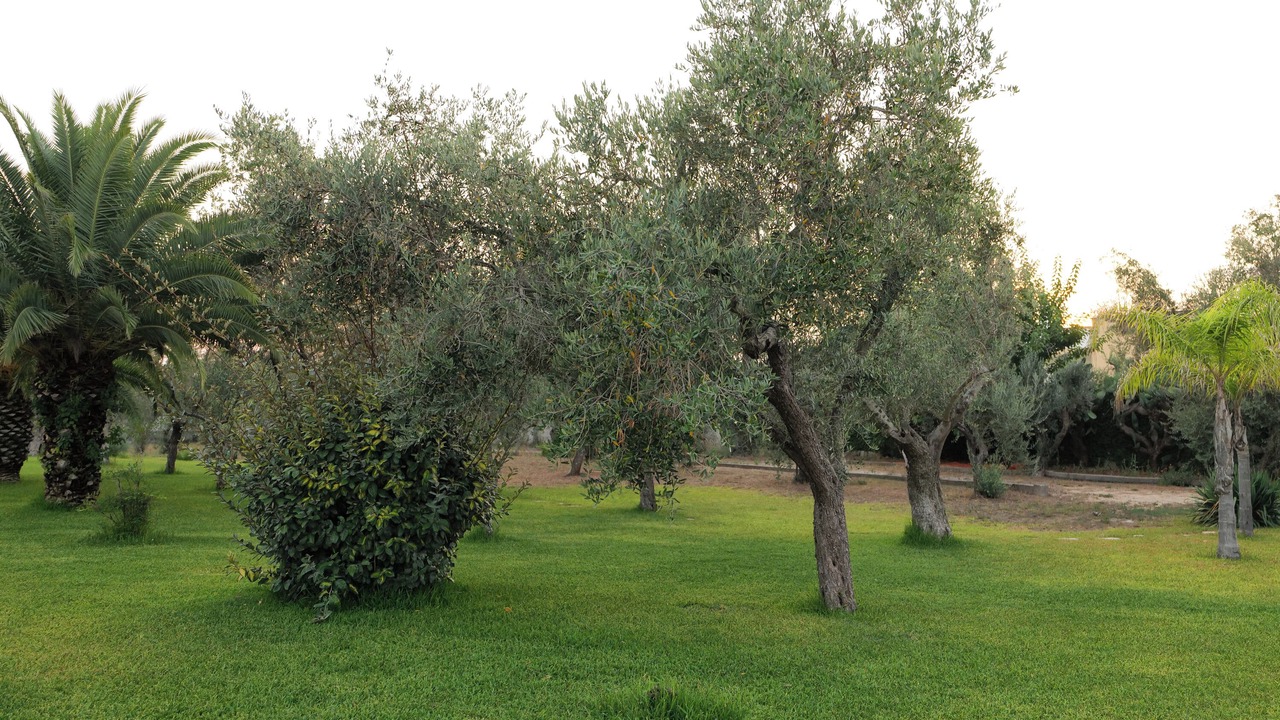 Photo of Outdoor in Cursi