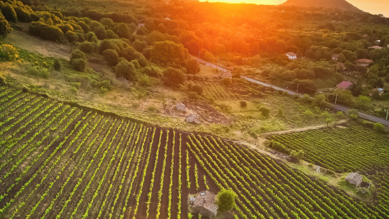 Photo of Outdoor in Pedara
