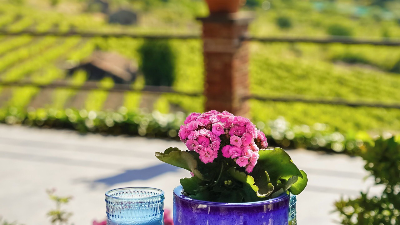 Photo of Outdoor in Pedara