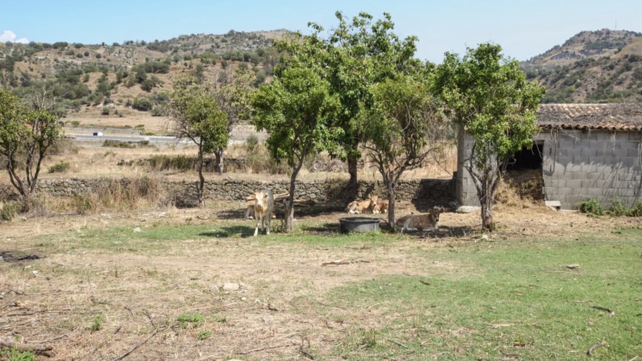 Photo of Others in Gaggi