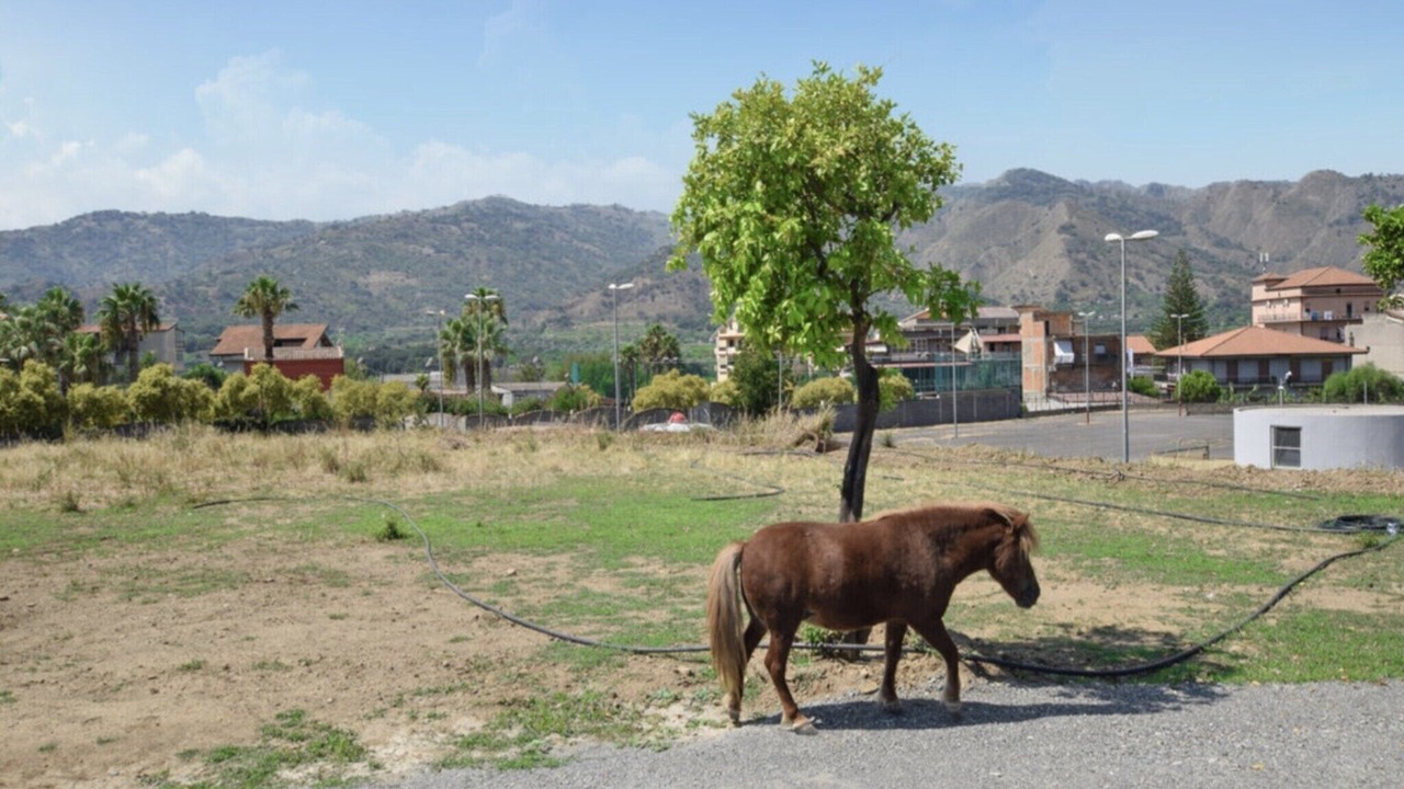 Photo of Others in Gaggi