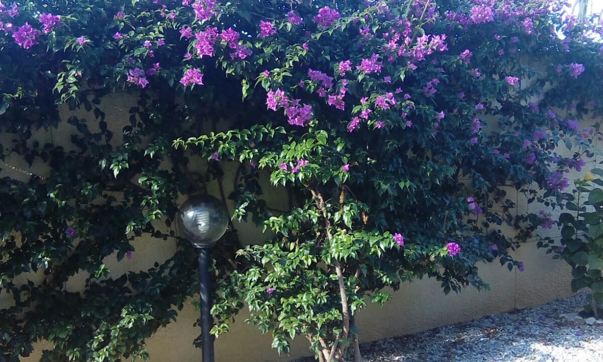 Photo of Outdoor in Vibo Marina