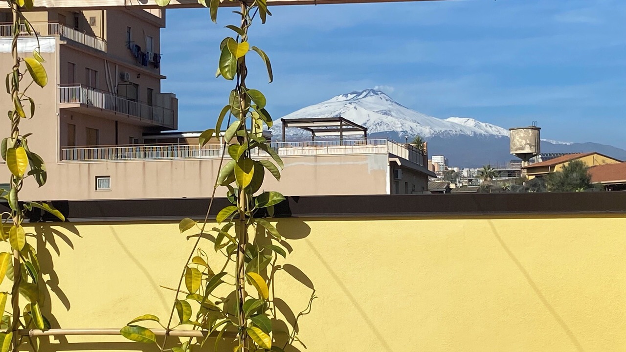 Photo of Patio Balcony in Cibali