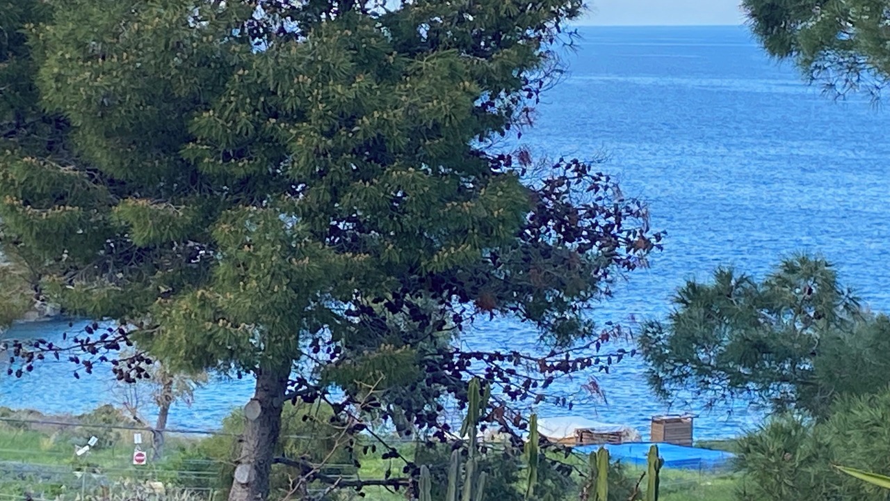 Photo of Others in Scopello