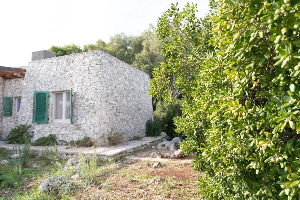 Photo of Outdoor in Marina di Novaglie