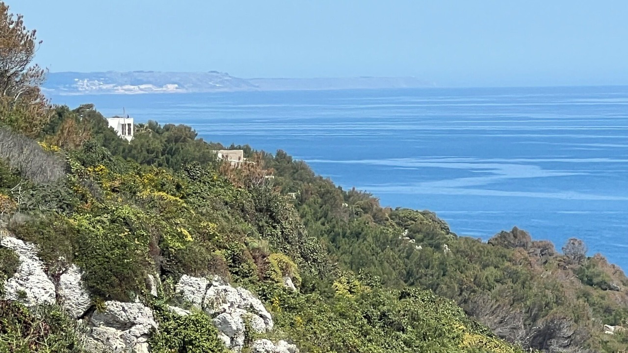 Photo of Others in Marina di Novaglie