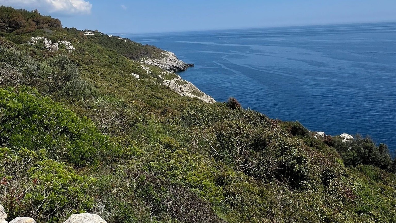 Photo of Others in Marina di Novaglie