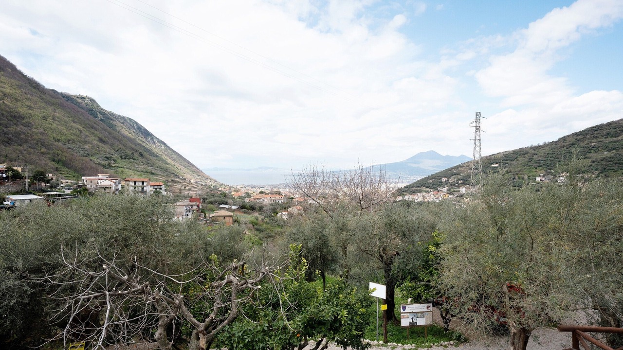 Photo of Others in Gragnano