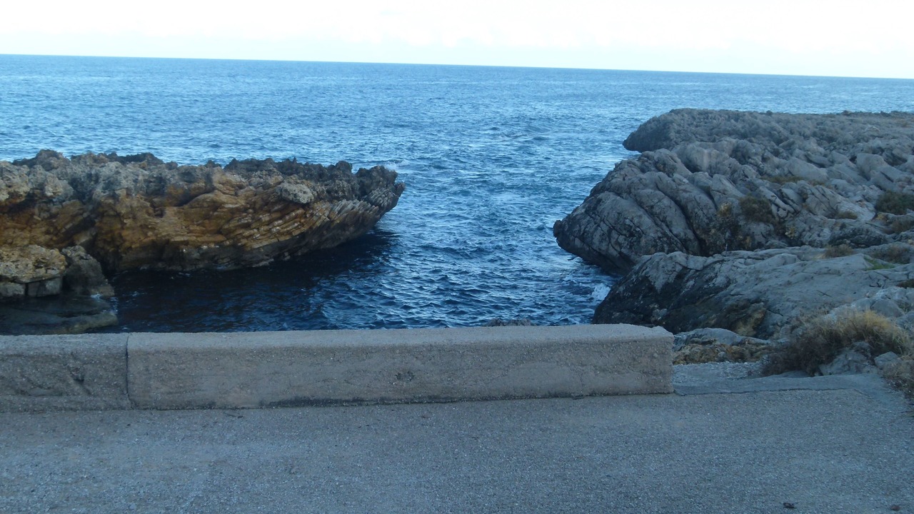 Photo of Others in Carini