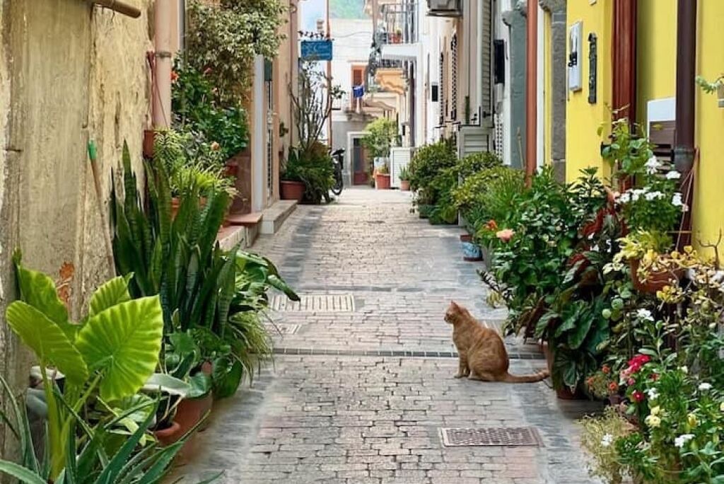 Photo of Outdoor in Lipari Historic Centre