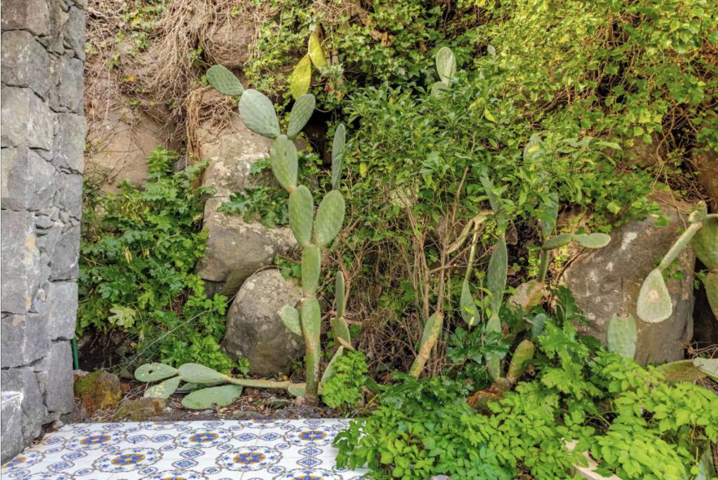 Photo of Outdoor in Valverde