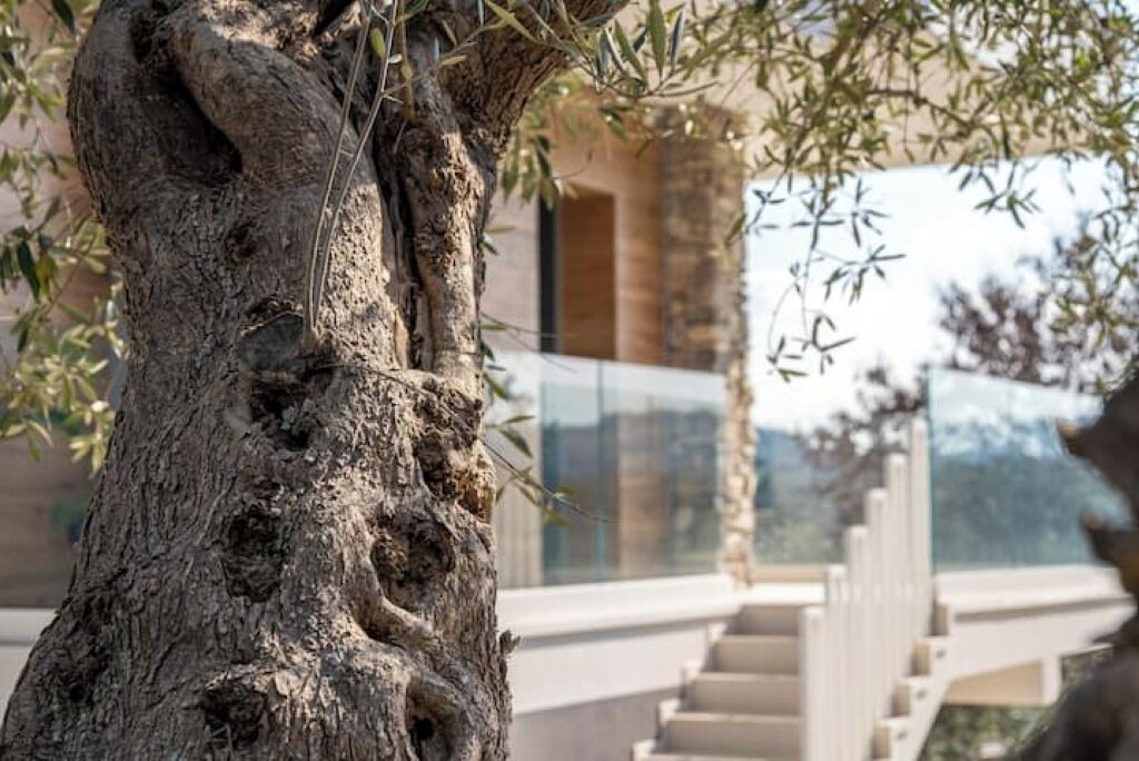 Photo of Outdoor in Putignano