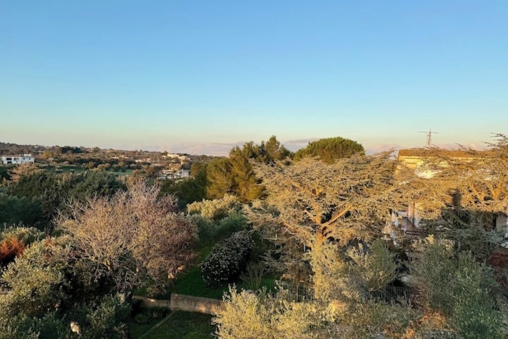 Photo of Others in Putignano