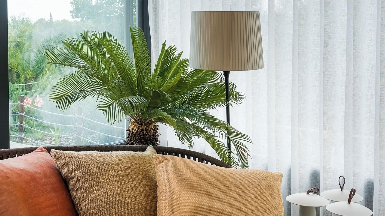 Photo of Livingroom in Madonna Marina