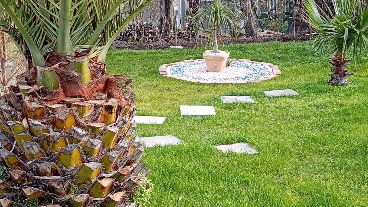 Photo of Outdoor in Mascali