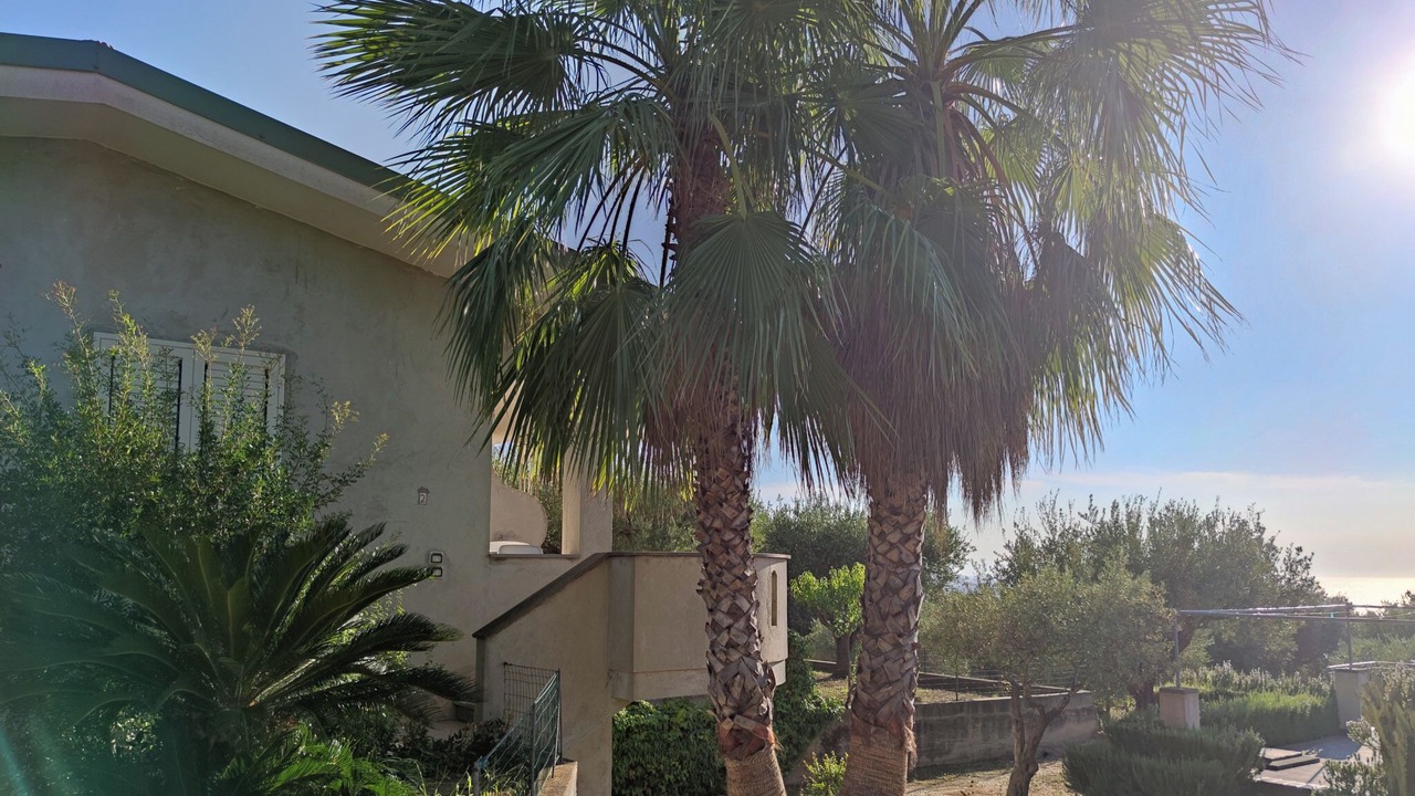 Photo of Outdoor in Santa Maria