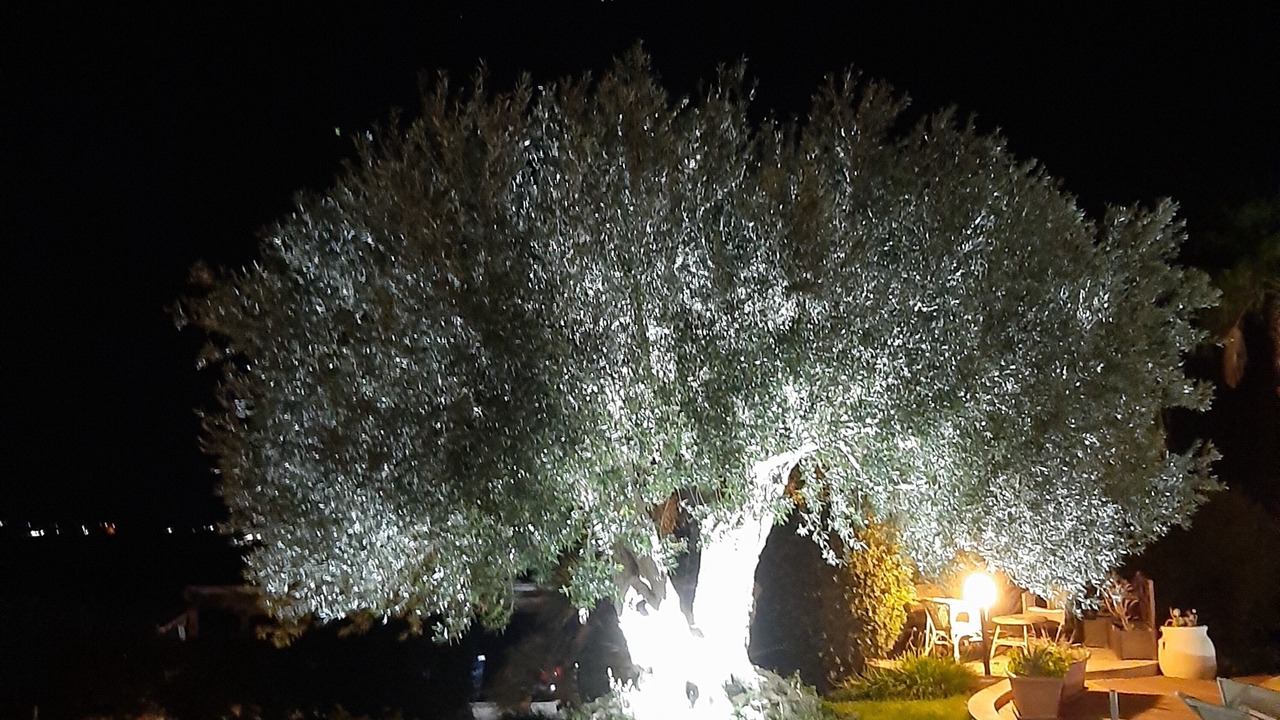 Photo of Outdoor in Scicli