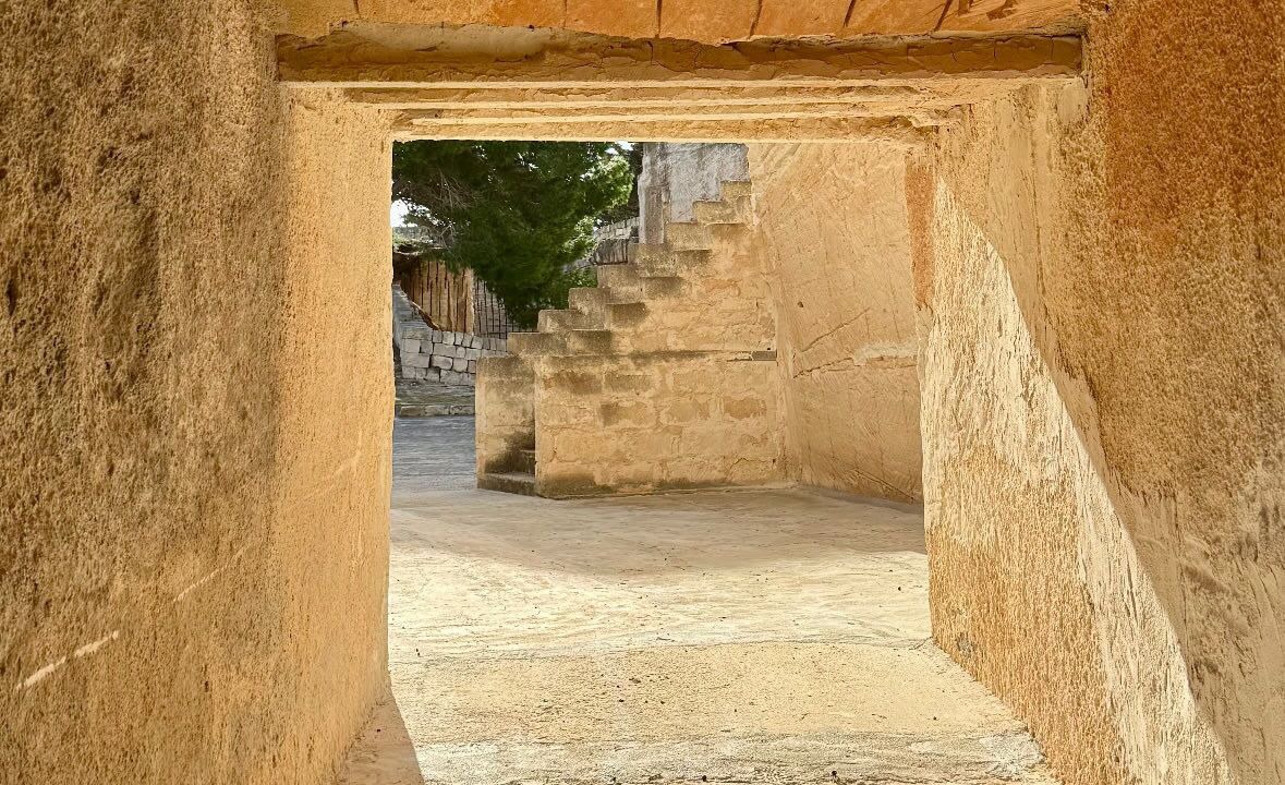 Photo of Others in Favignana