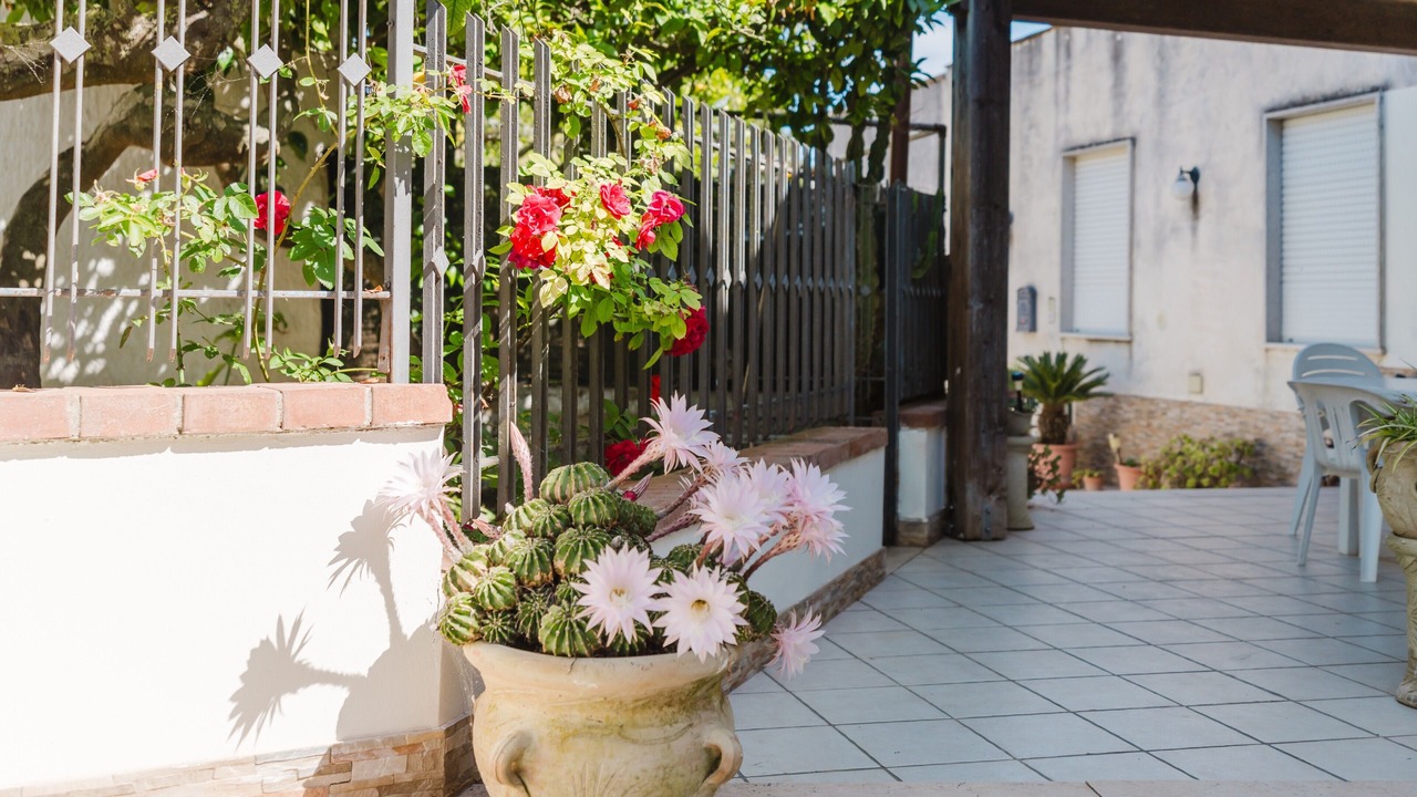 Photo of Patio Balcony in Paparella