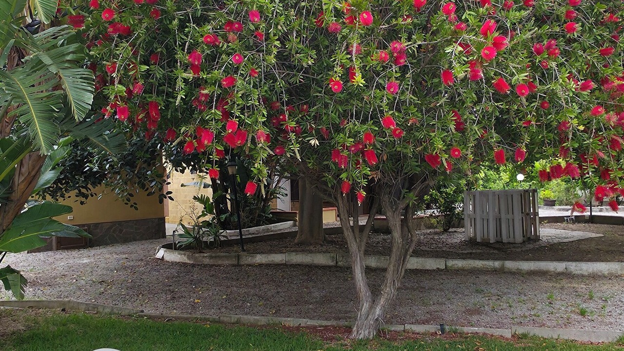 Photo of Outdoor in Piana Calzata