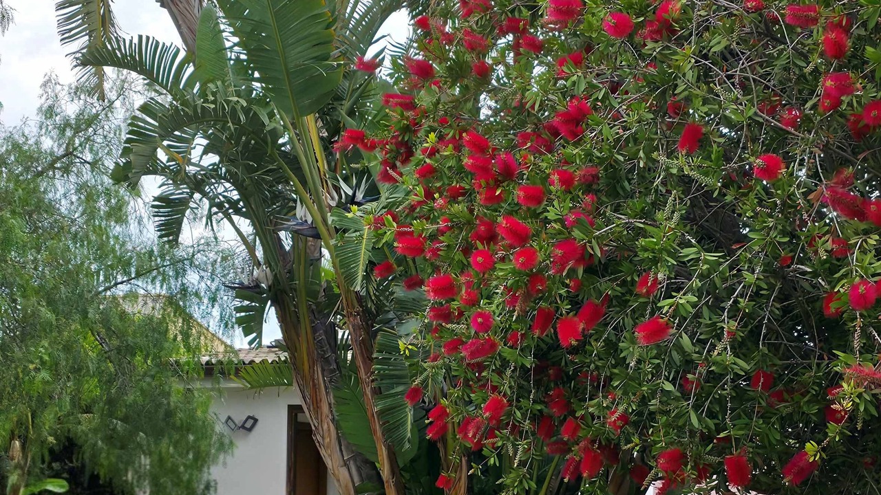 Photo of Outdoor in Piana Calzata
