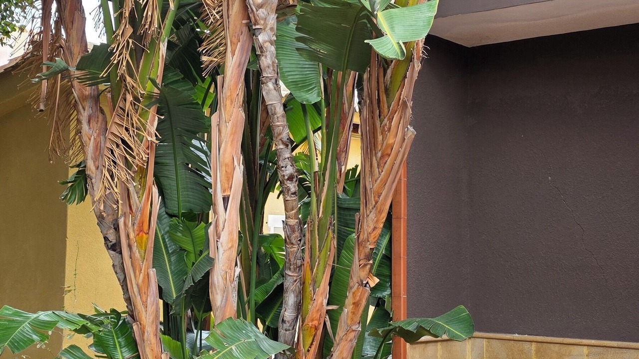 Photo of Outdoor in Piana Calzata