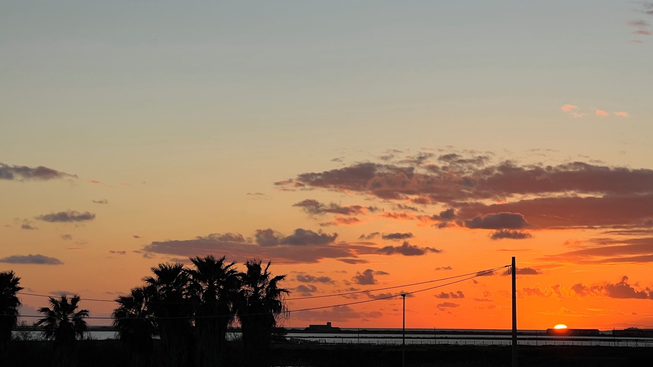 Photo of Others in Marsala