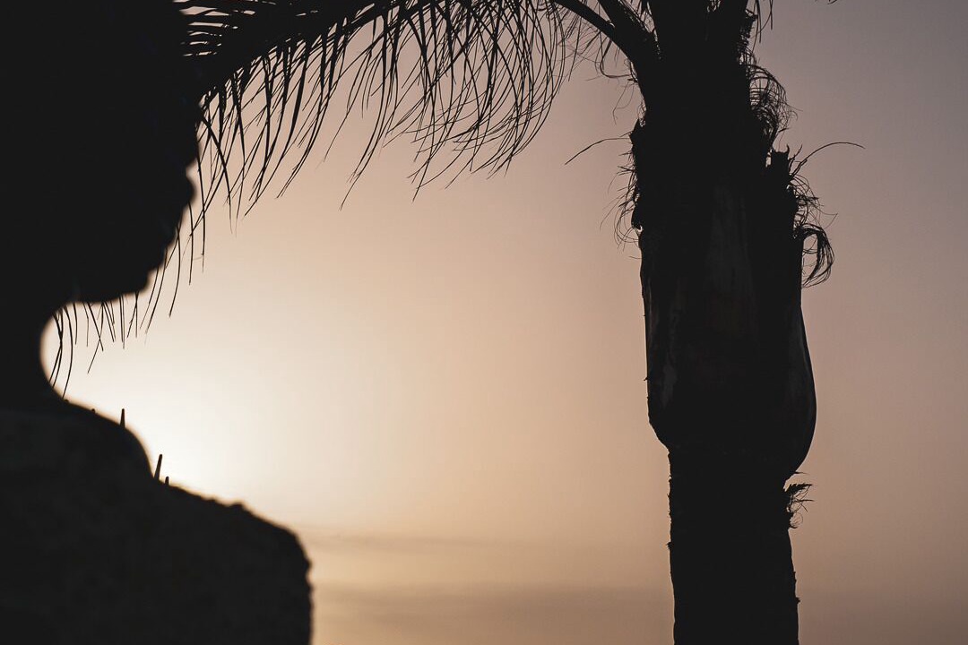Photo of Others in Marsala