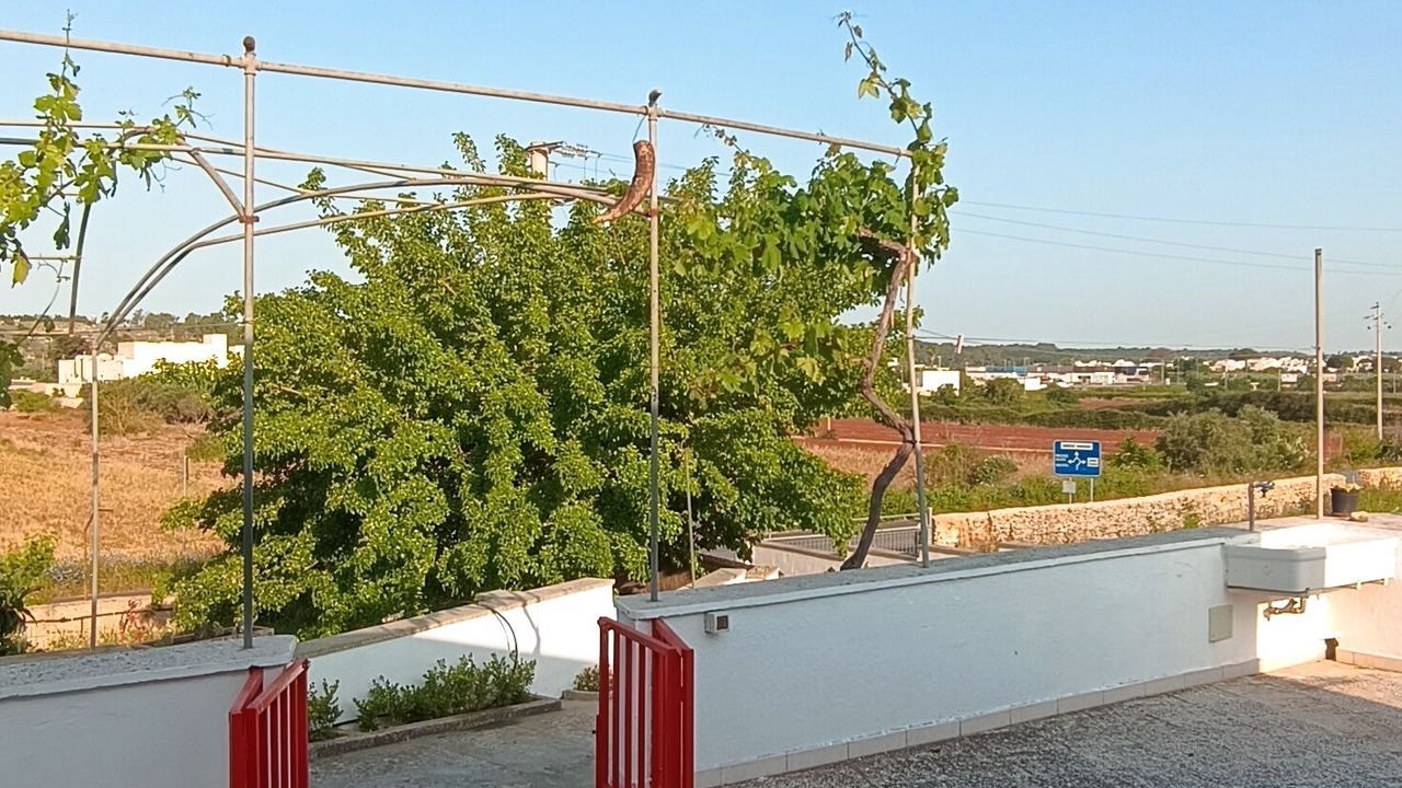 Photo of Outdoor in Presicce