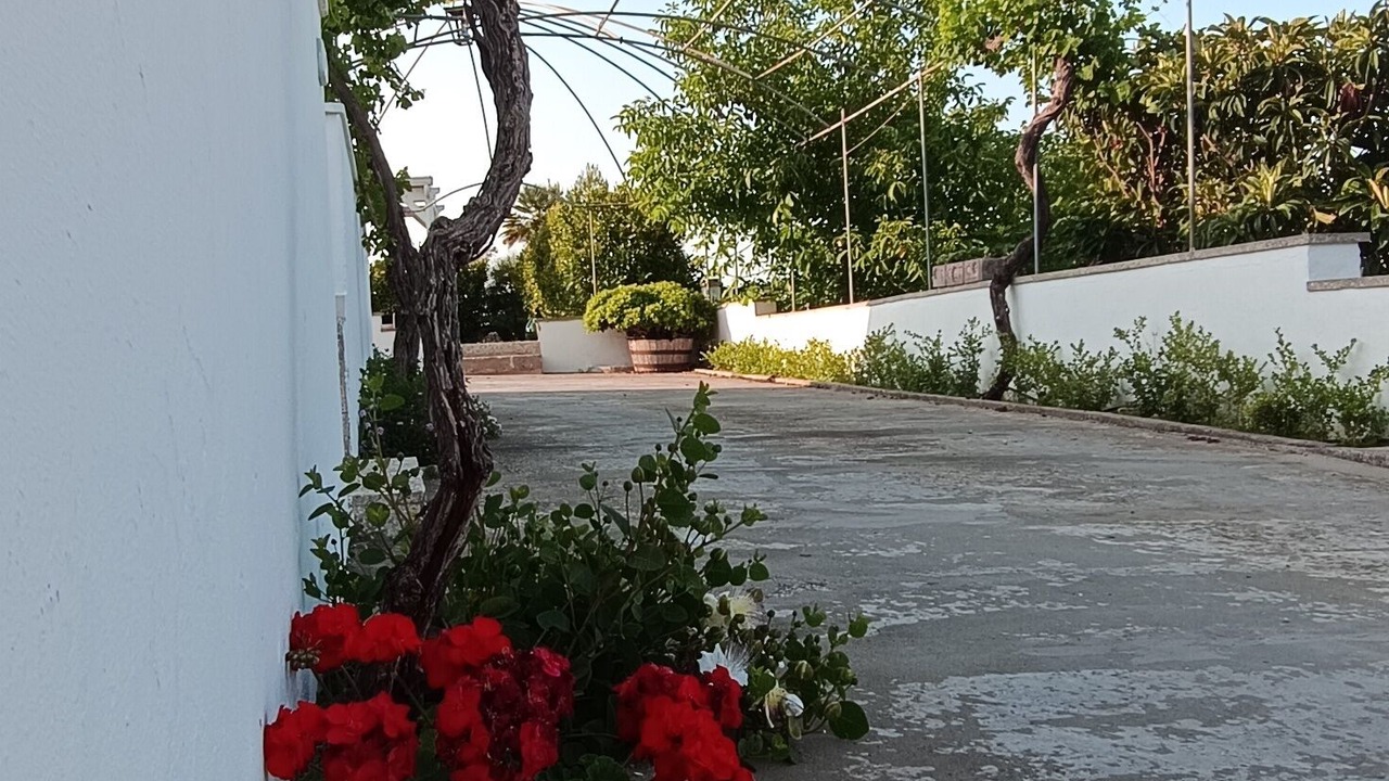 Photo of Outdoor in Presicce