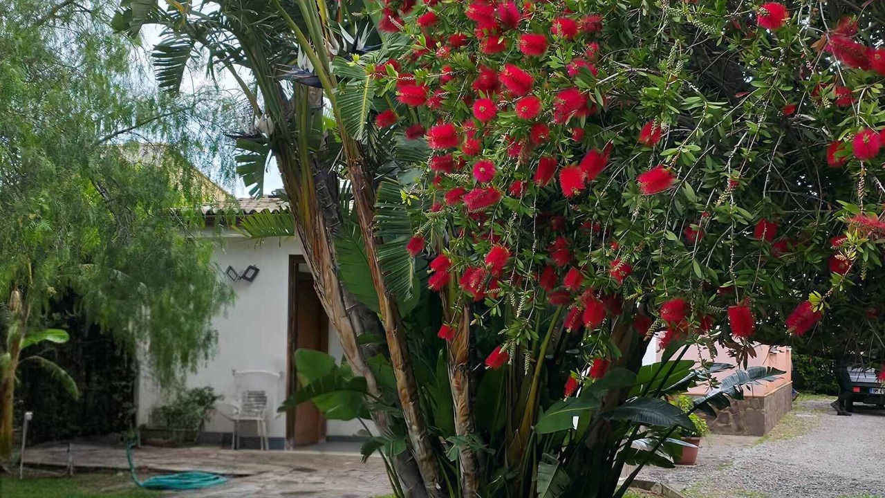 Photo of Outdoor in Piana Calzata