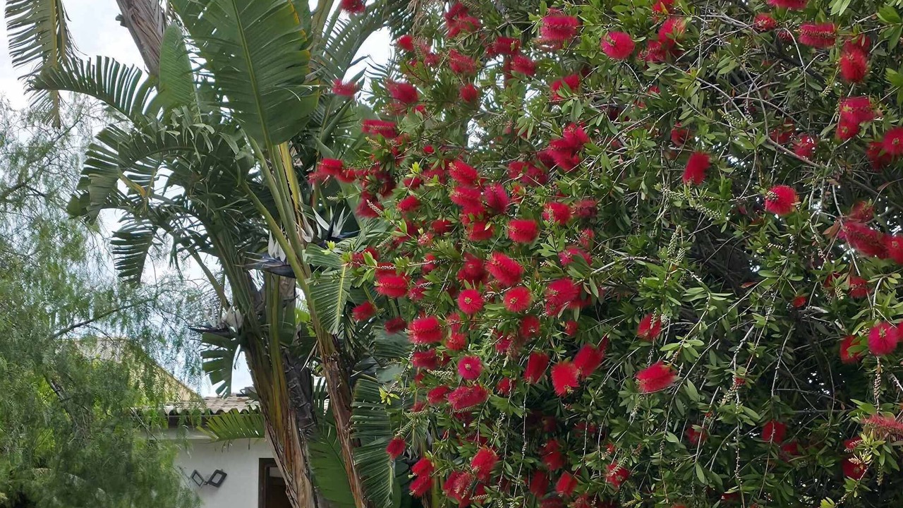 Photo of Outdoor in Piana Calzata