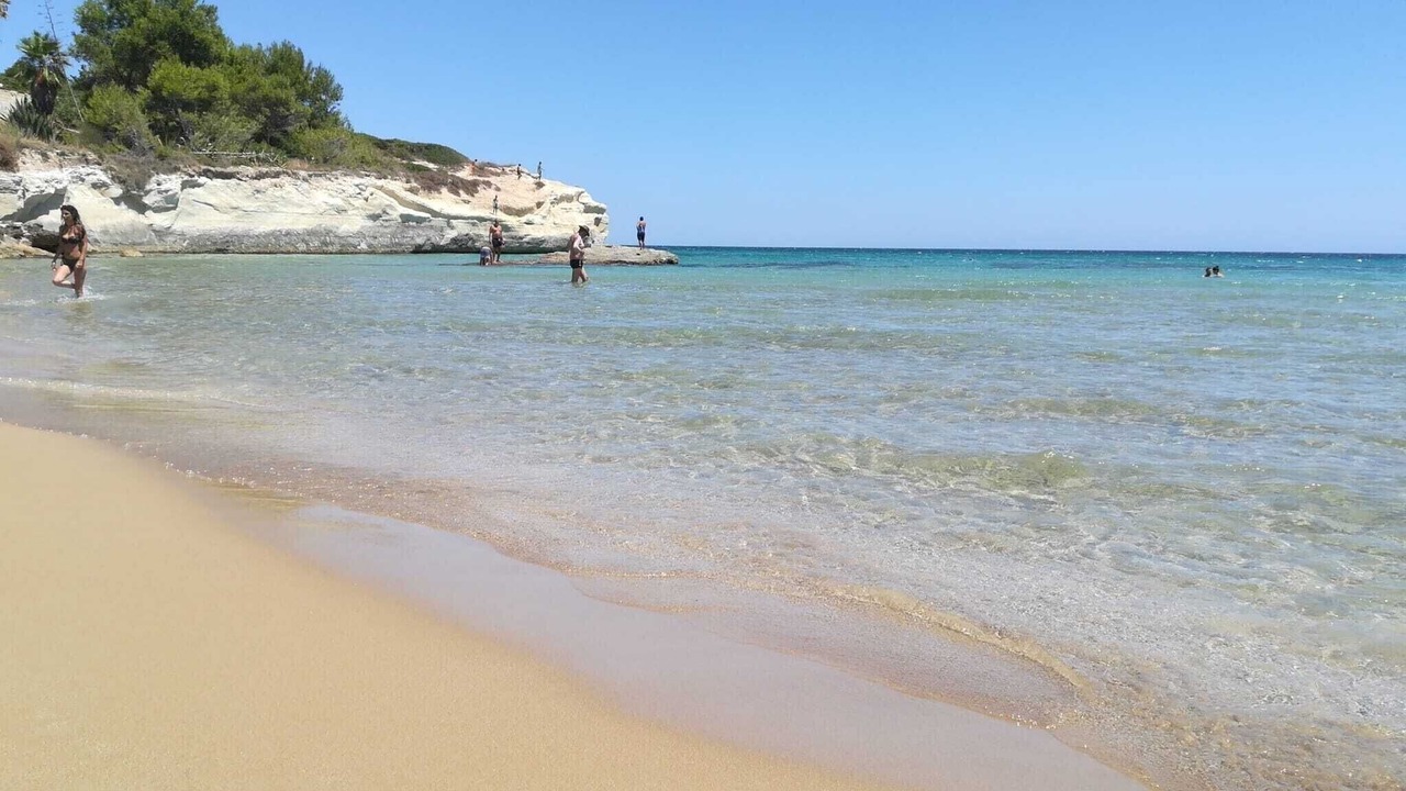 Photo of Others in Noto Marina