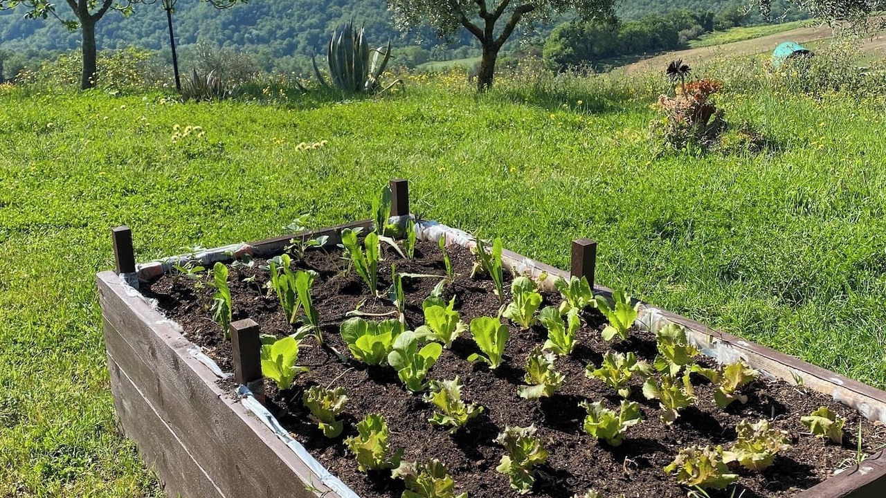 Photo of Outdoor in Montecampano