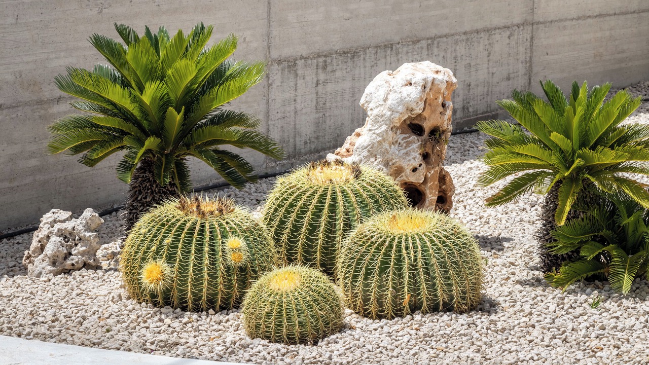 Photo of Outdoor in Chiusa Cavalli