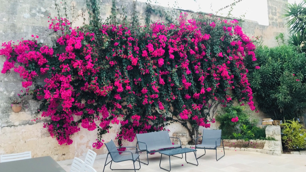 Photo of Patio Balcony in Presicce