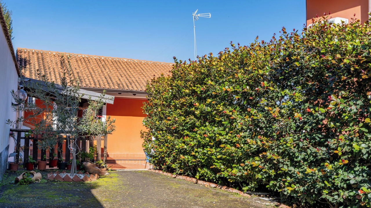 Photo of Outdoor in Blandano