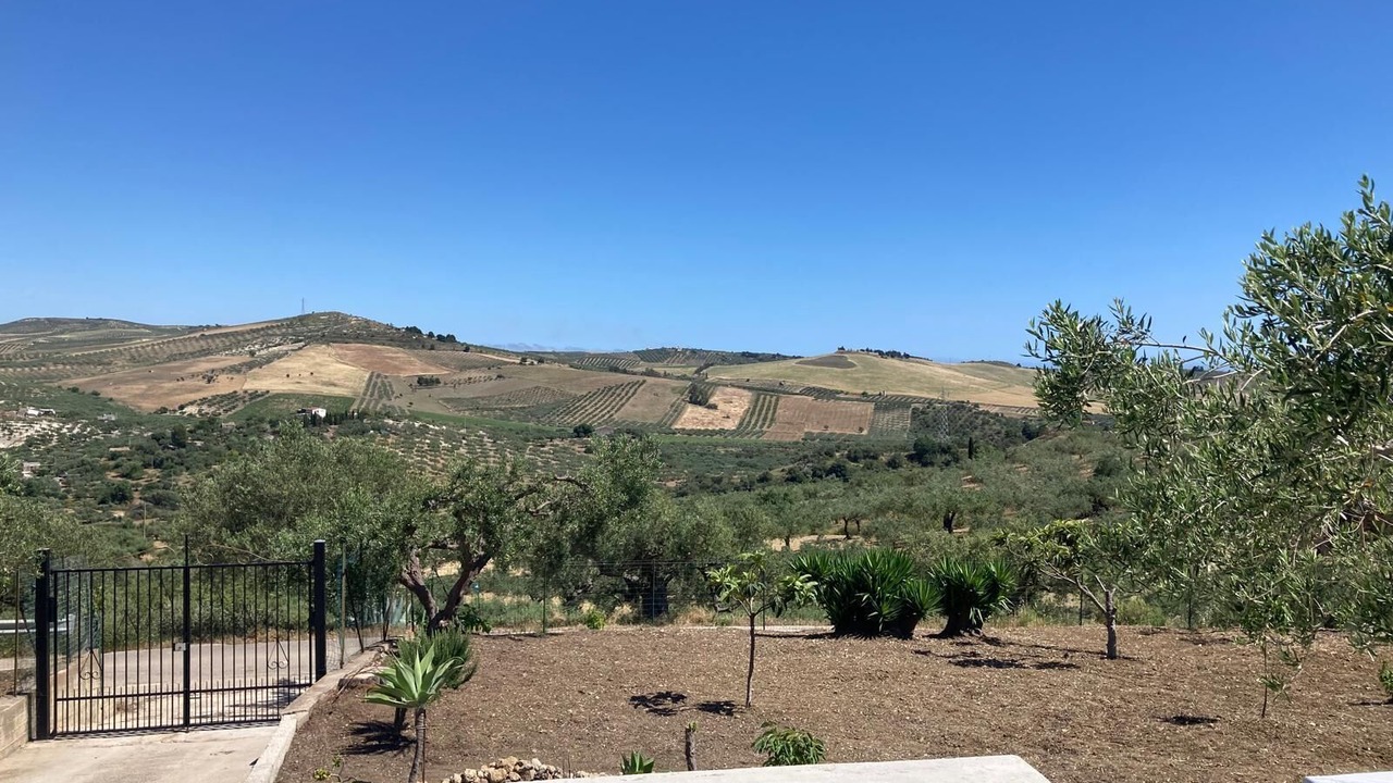Photo of Others in Sciacca