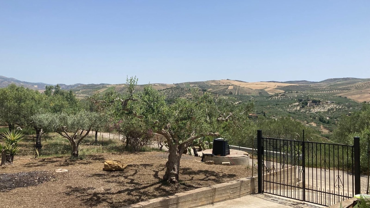 Photo of Others in Sciacca