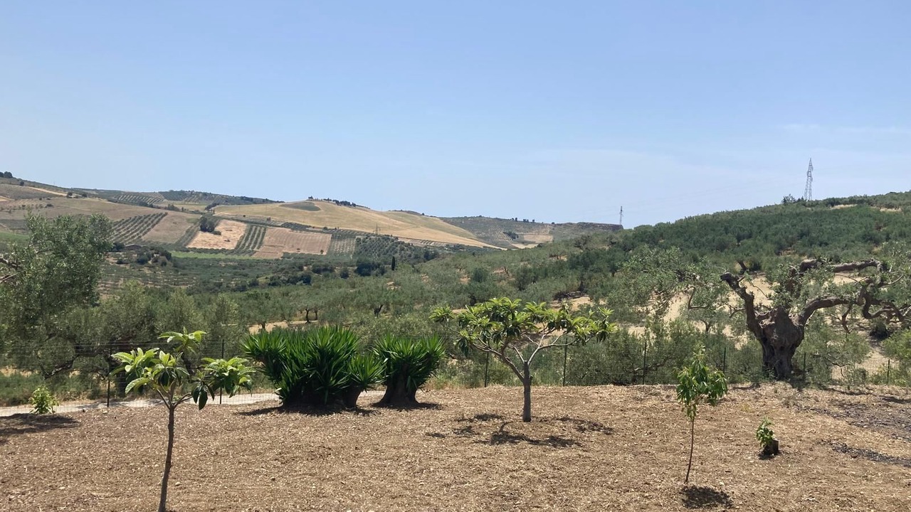 Photo of Outdoor in Sciacca