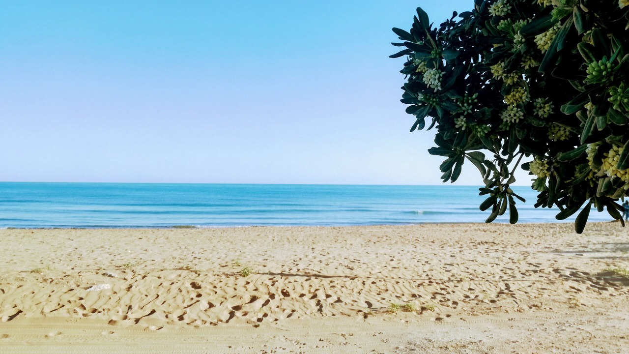 Photo of Others in Punta Braccetto