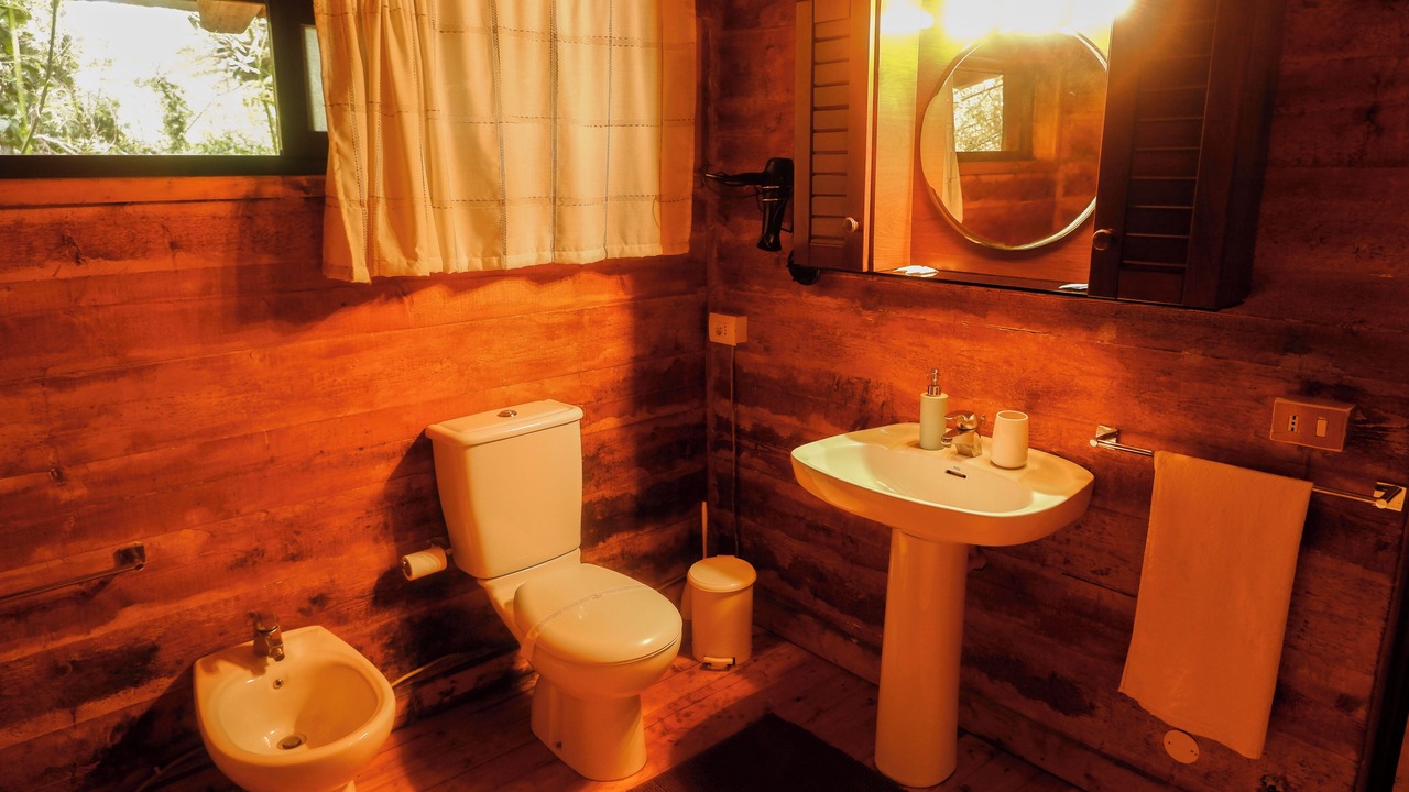Photo of Bathroom in Pedara