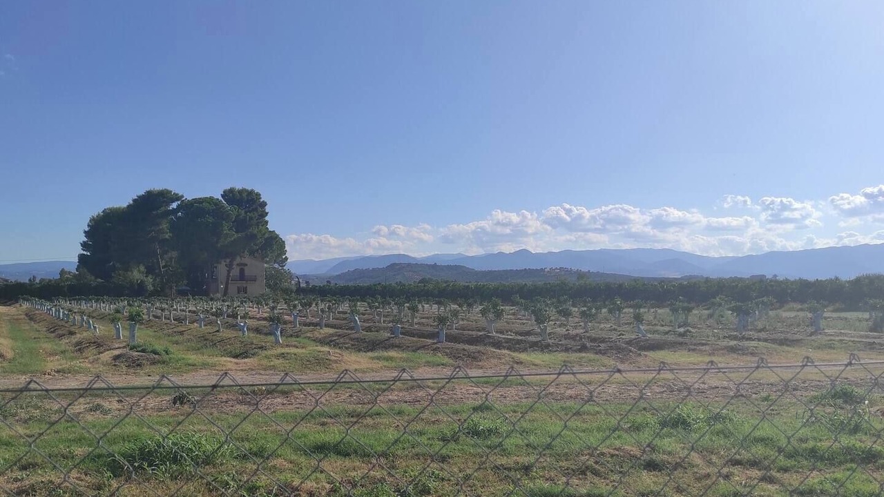 Photo of Others in Mirto