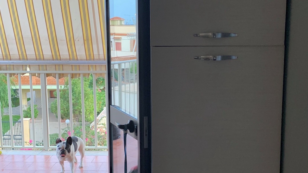 Photo of Others in Agnone