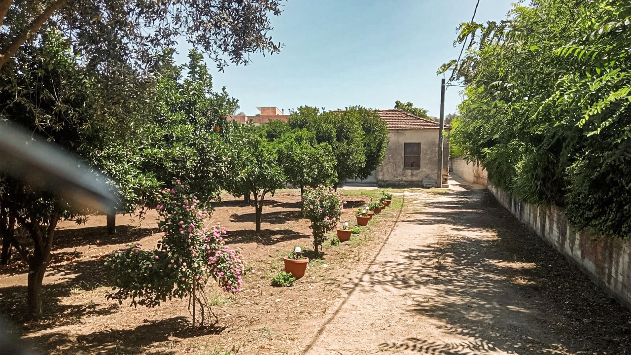 Photo of Others in Polistena
