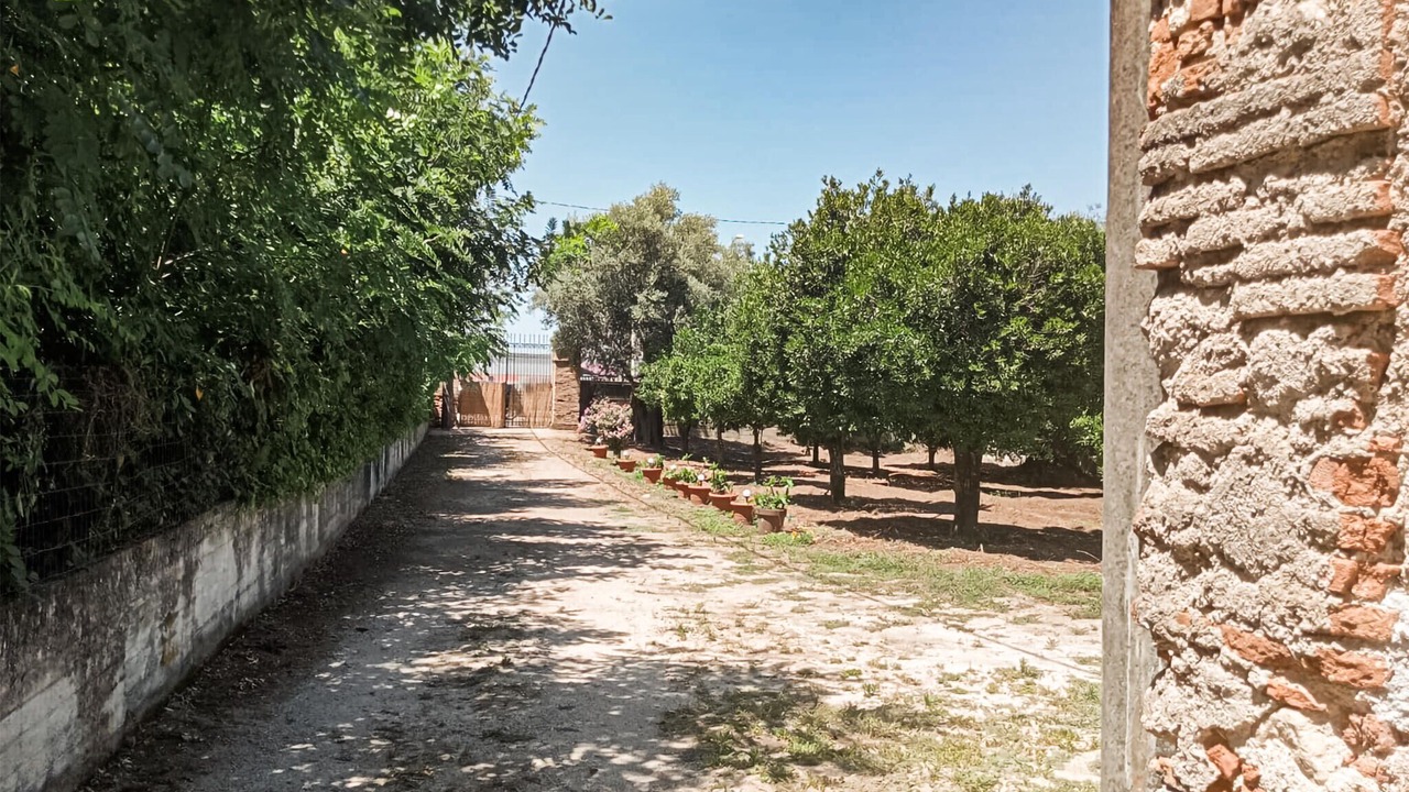 Photo of Others in Polistena