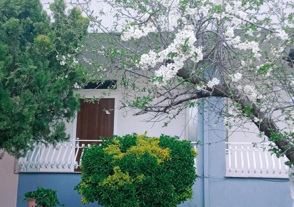 Photo of Outdoor in Santa Maria Capua Vetere